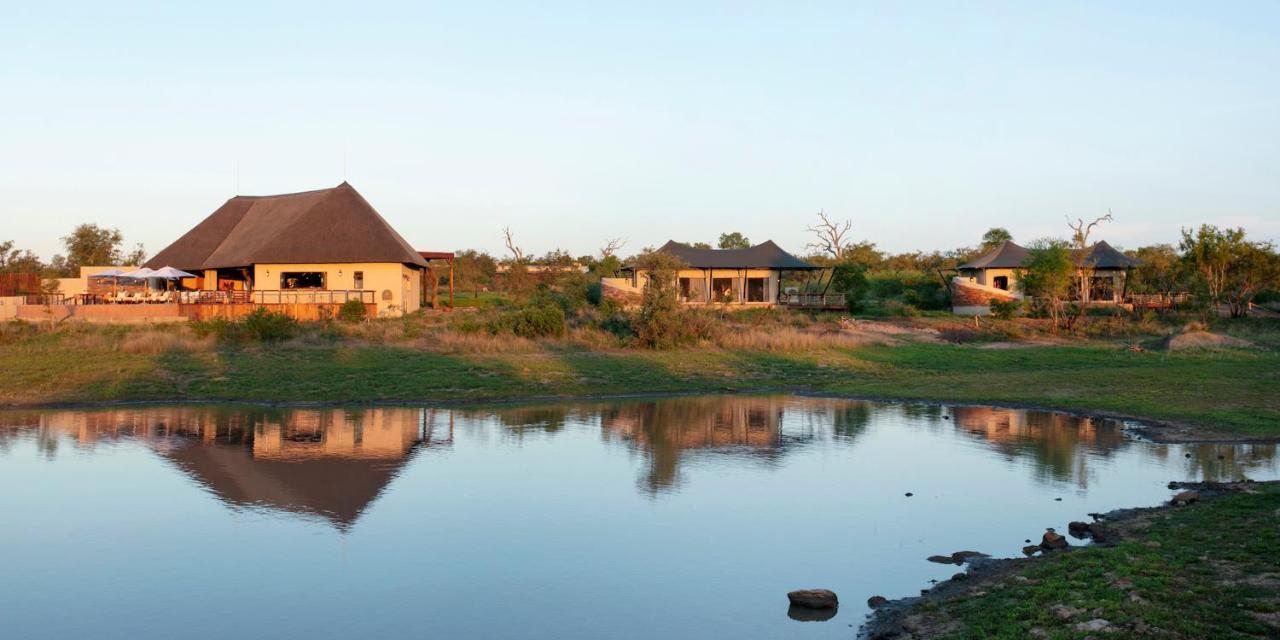 Thabamati Luxury Tented Camp Timbavati Doğa Koruma Alanı Dış mekan fotoğraf